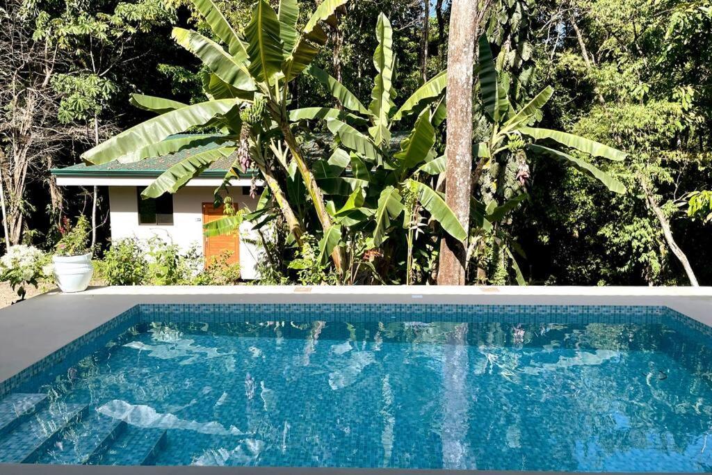 An Abundance Of Wildlife At Jungle Glory Home Abajo Manuel Antonio Exteriör bild