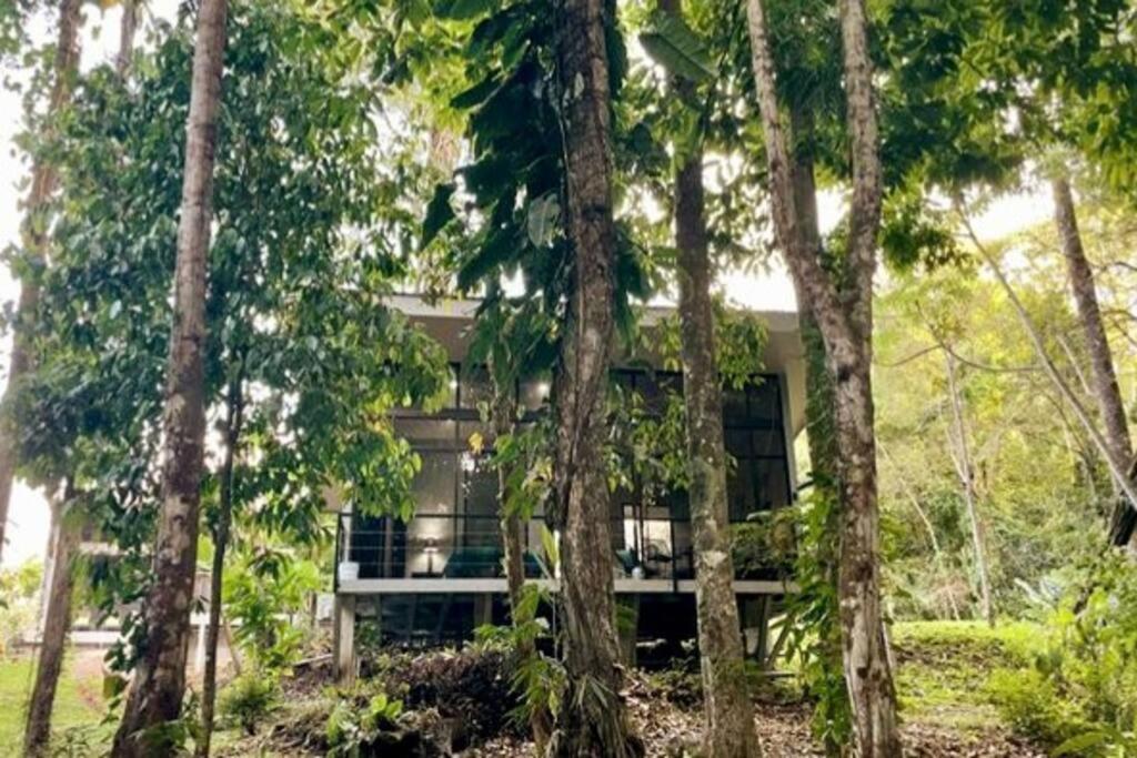An Abundance Of Wildlife At Jungle Glory Home Abajo Manuel Antonio Exteriör bild