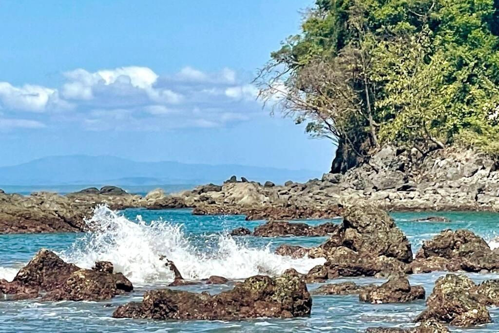 An Abundance Of Wildlife At Jungle Glory Home Abajo Manuel Antonio Exteriör bild