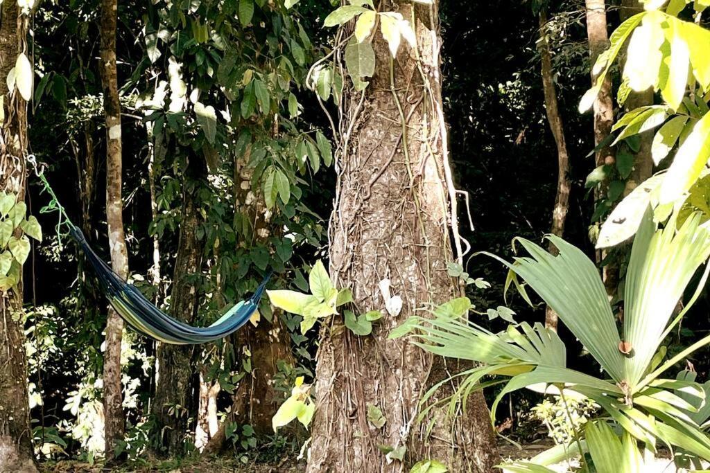An Abundance Of Wildlife At Jungle Glory Home Abajo Manuel Antonio Exteriör bild