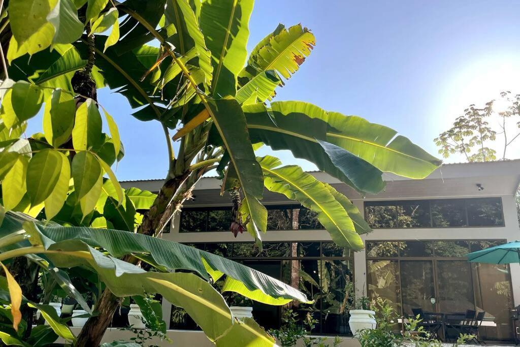 An Abundance Of Wildlife At Jungle Glory Home Abajo Manuel Antonio Exteriör bild