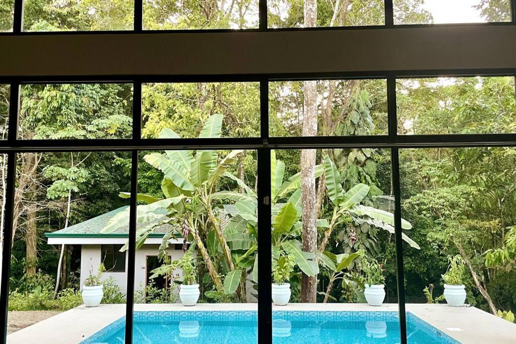 An Abundance Of Wildlife At Jungle Glory Home Abajo Manuel Antonio Exteriör bild