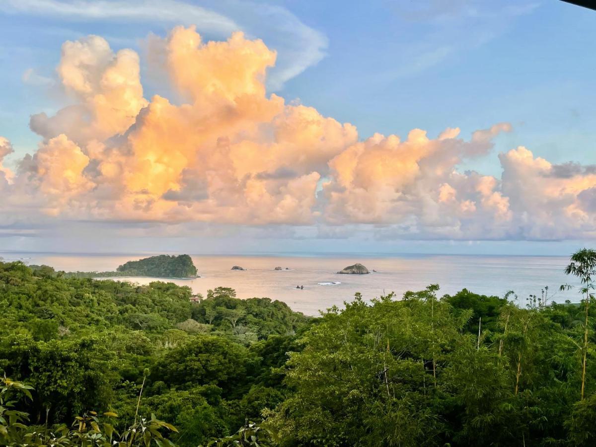 An Abundance Of Wildlife At Jungle Glory Home Abajo Manuel Antonio Exteriör bild