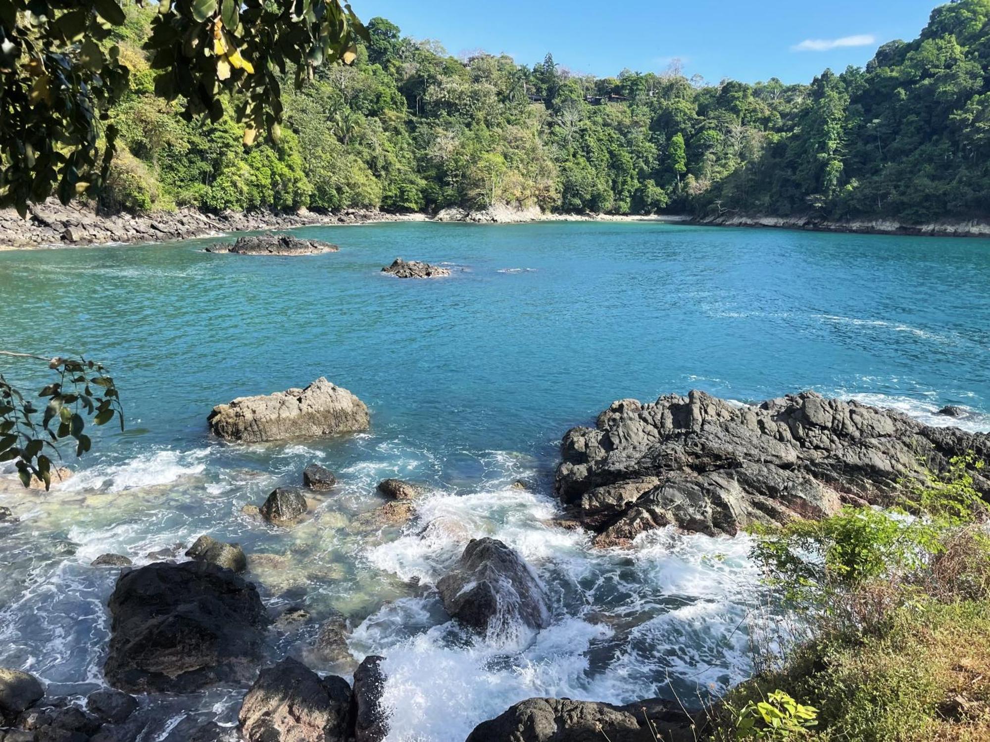 An Abundance Of Wildlife At Jungle Glory Home Abajo Manuel Antonio Exteriör bild